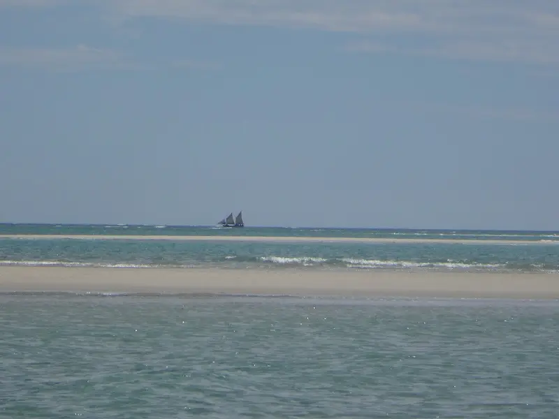 DSC04218.JPG
