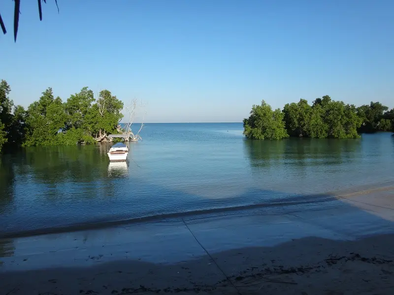 DSC04287.JPG