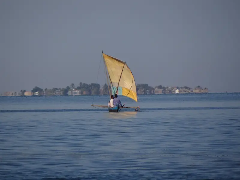 DSC00726.JPG