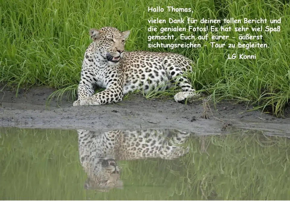 Topobär.jpg