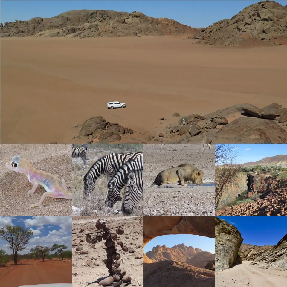 collage.JPG