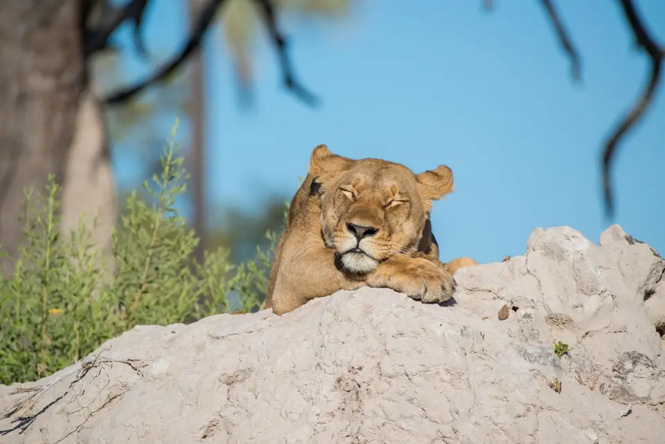 0016.jpg