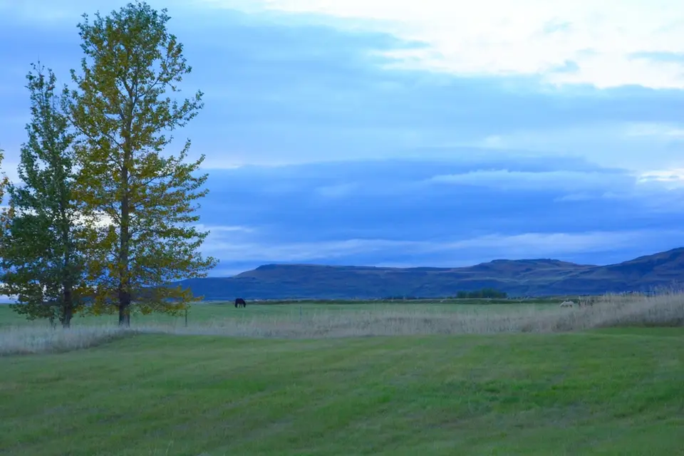 G71_8157.JPG