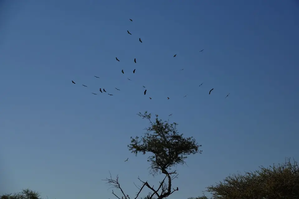 DSC02607.JPG