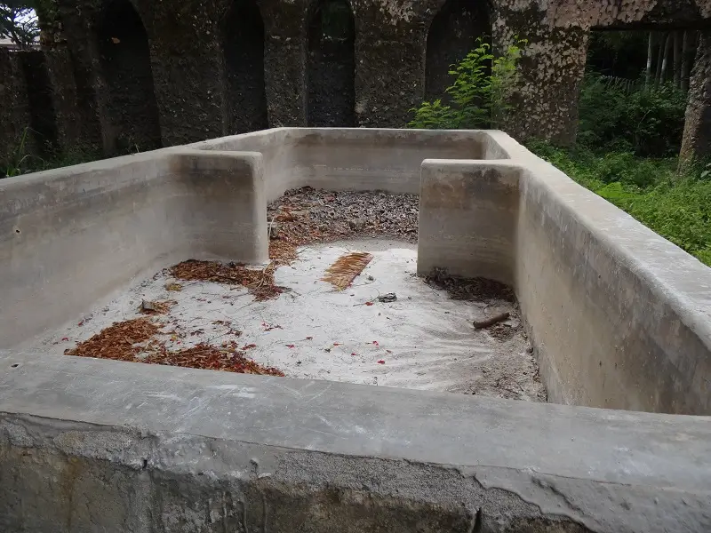 DSC09576.JPG