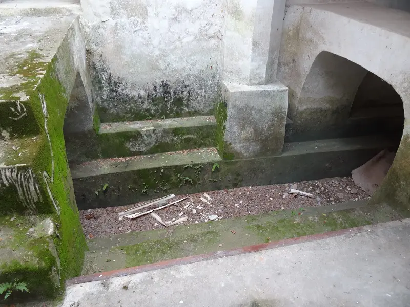 DSC09570.JPG
