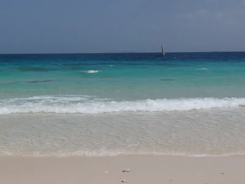 DSC09673.JPG