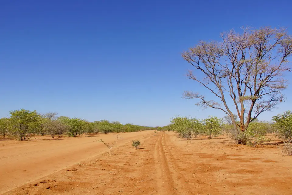 namibia-2019-05-1310-43-36.jpg