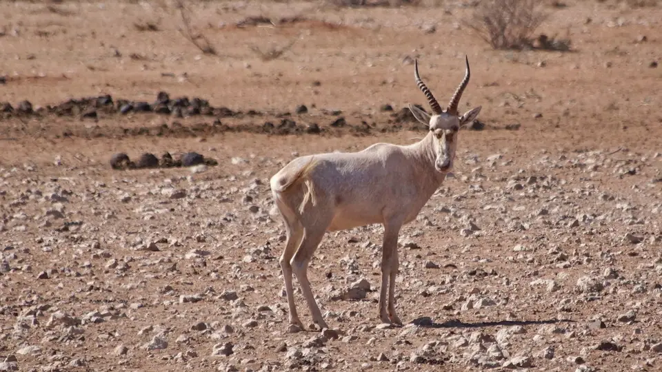 namibia-2019-06-0213-16-36.jpg