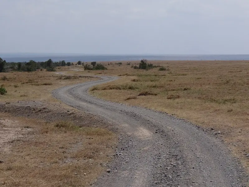 DSC00755.JPG