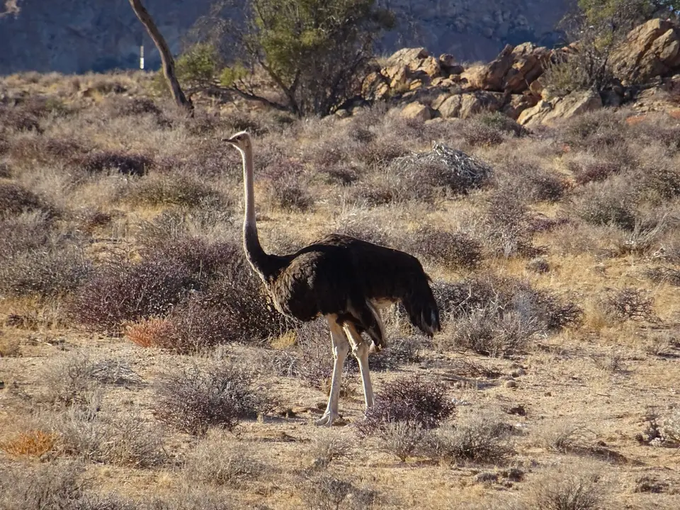 Namibia(4)-2.JPG