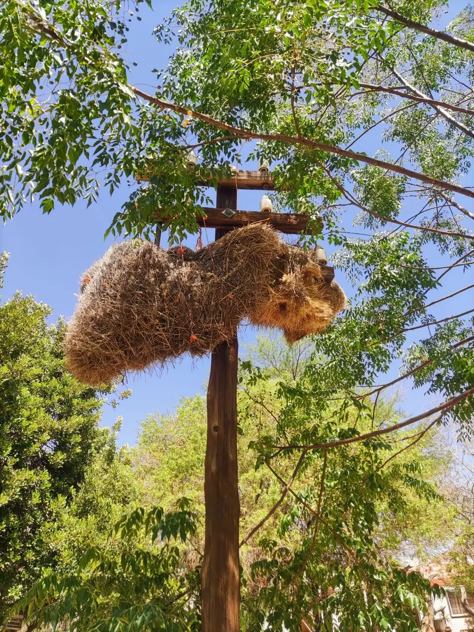 Namibia(14)-2-3.jpg