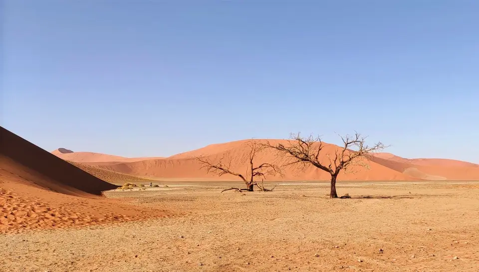 Namibia(12)-2-3.jpg