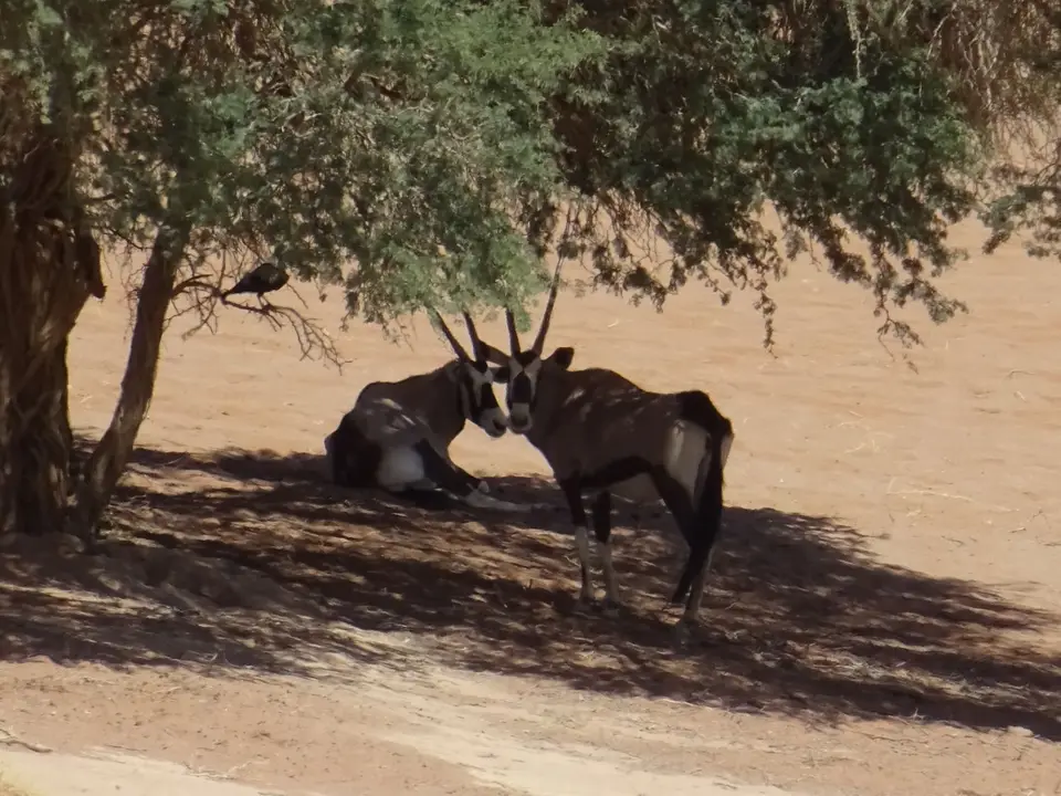 Namibia(27)-2.JPG