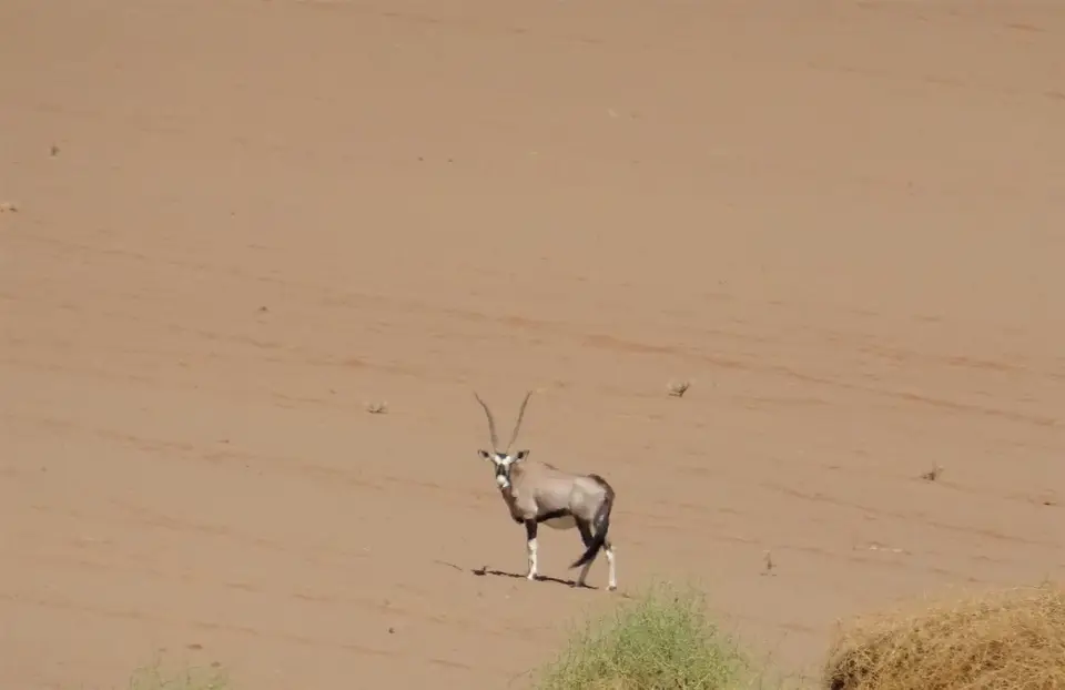 Namibia(33).JPG