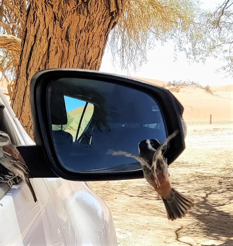 Namibia(35).jpg