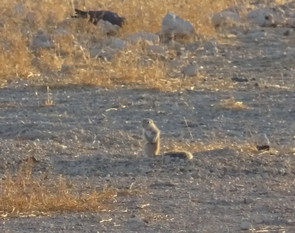 Namibia(42).JPG