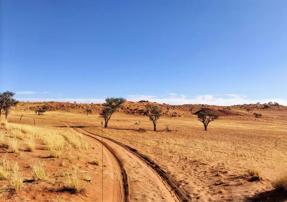 Namibia(24)-2.jpg
