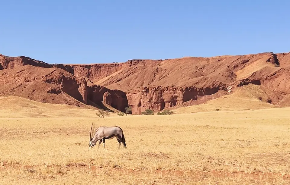 Namibia(13)-2-3-4.jpg