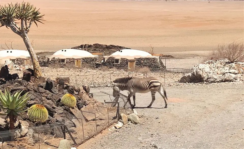 Namibia(16)-2-3.jpg