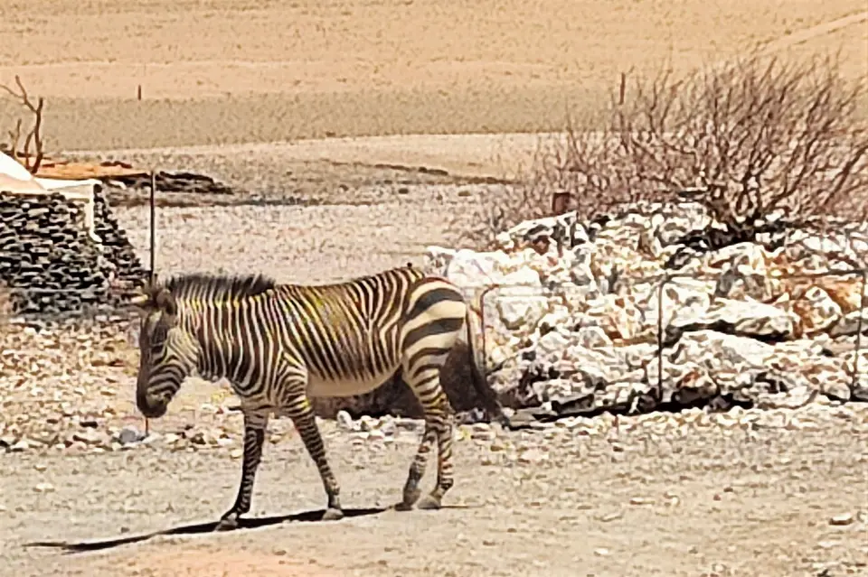 Namibia(17)-2-3.jpg