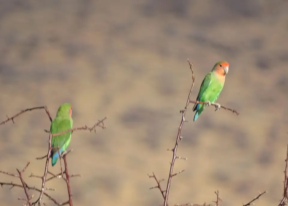 Namibia(7)-2-3-4.JPG