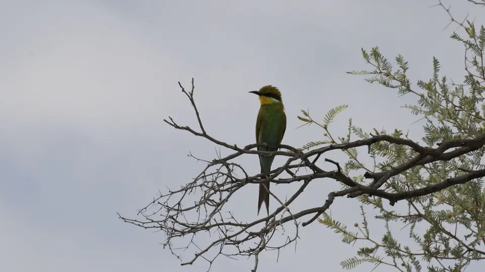 IMG_8859.jpg