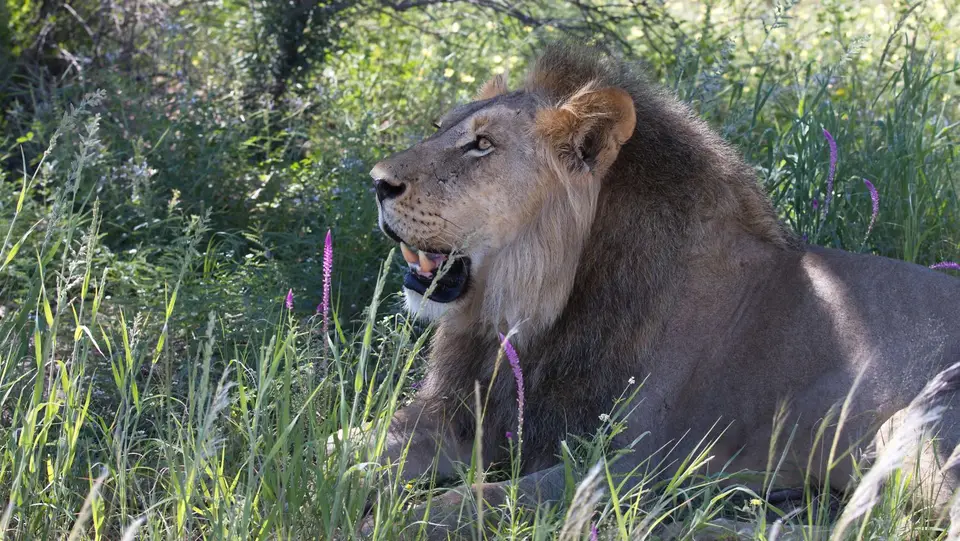 IMG_6951.jpg