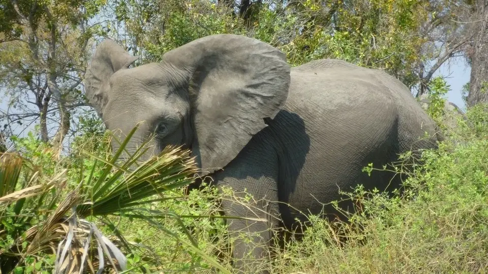 AP1110308.jpg