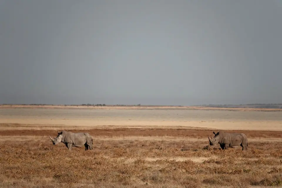 DSC03797_DxO.jpg