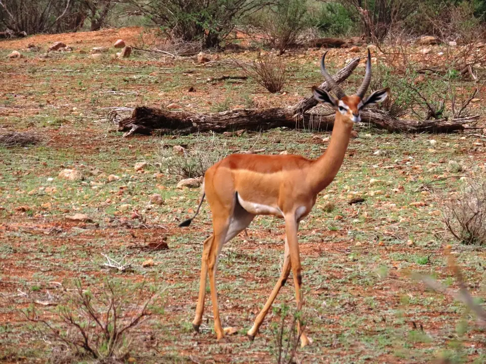 IMG_4946.JPG