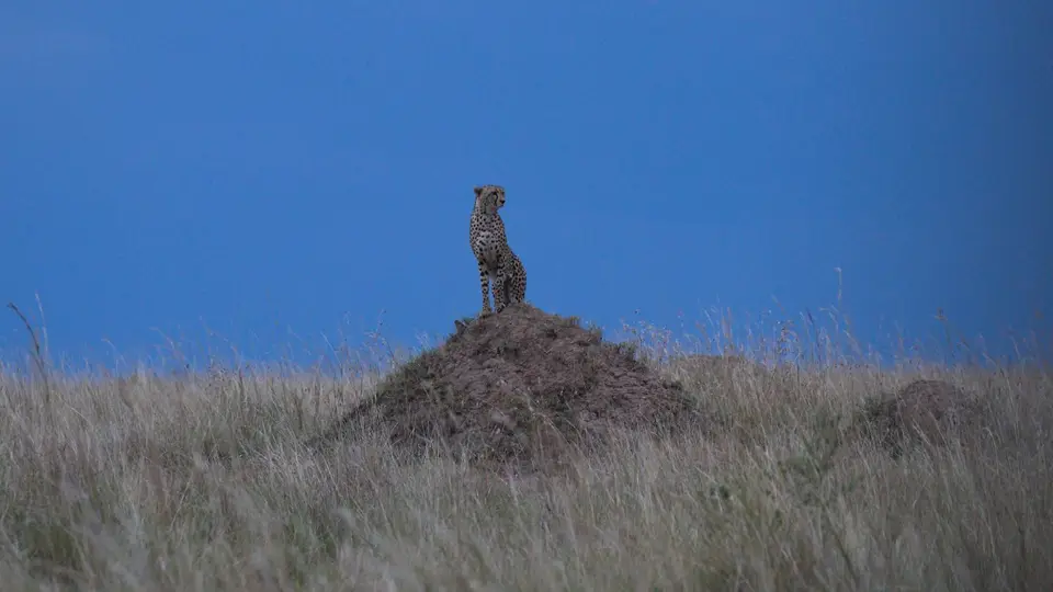 IMG_5863.jpg