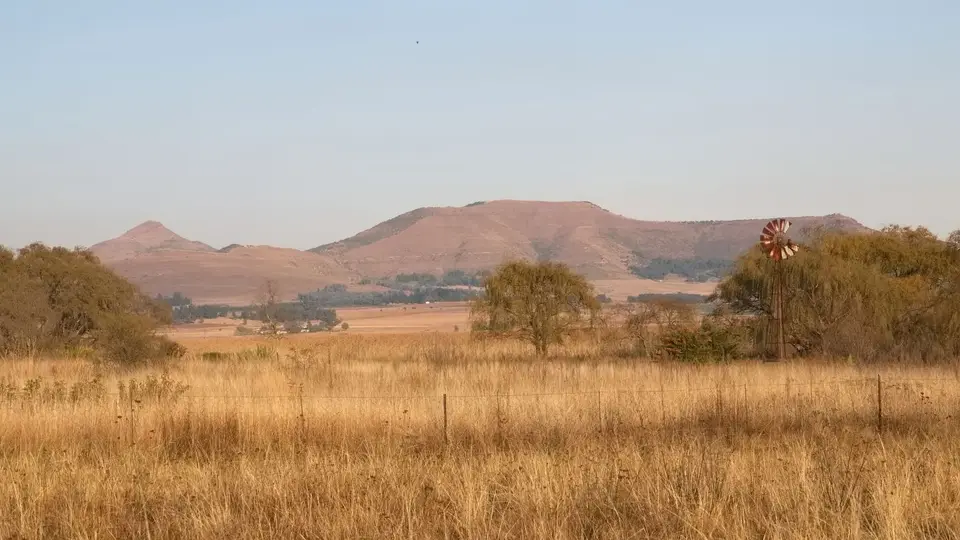 2023SA0210.jpg