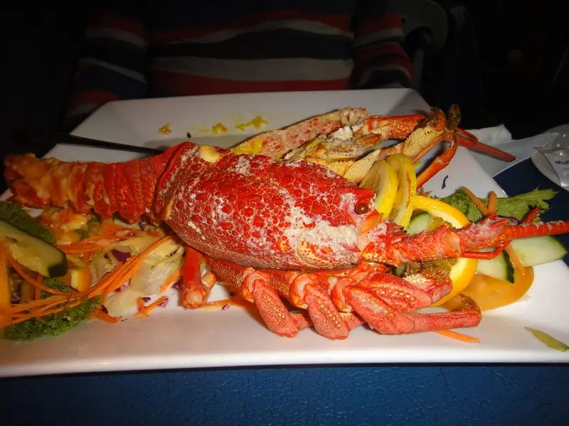 DSC04474.JPG