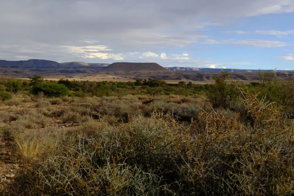 DSCF1434.jpg