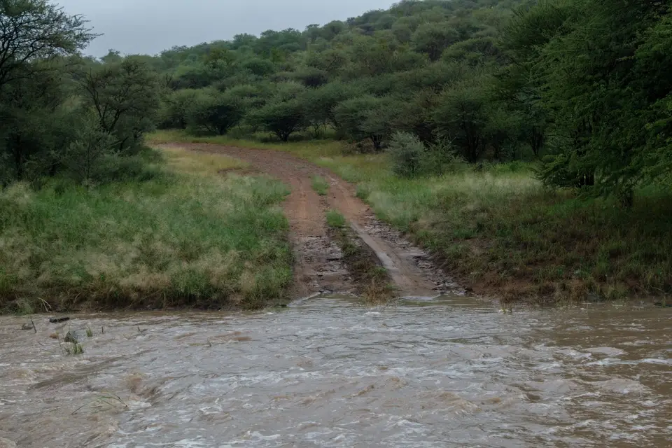 DSCF1709.jpg