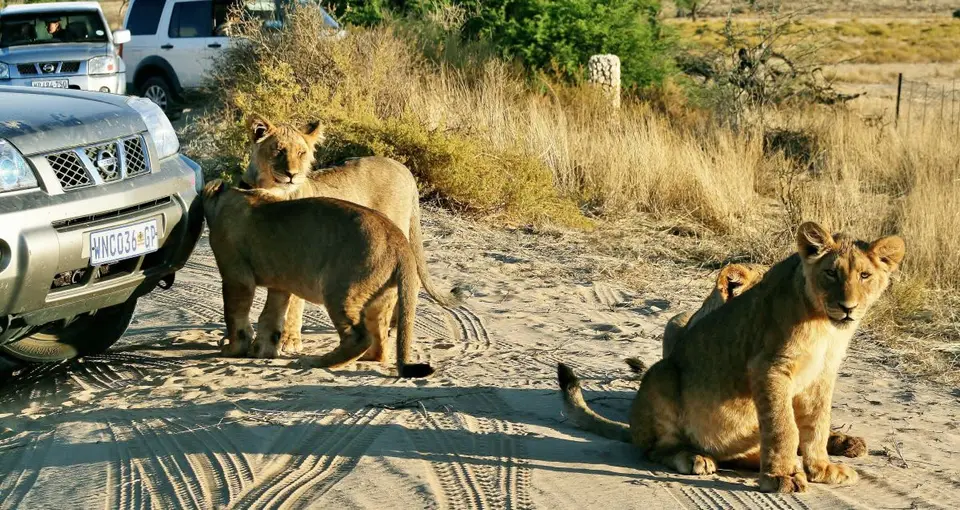 Namibia2008174.jpg