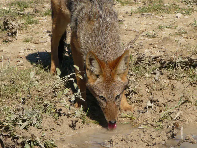 SA_09_10833_103.jpg