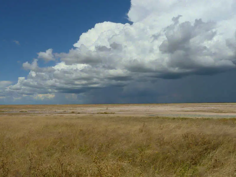 SA_09_10835_49.jpg
