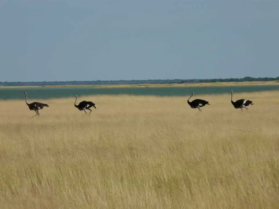 SA_09_10840_48.jpg