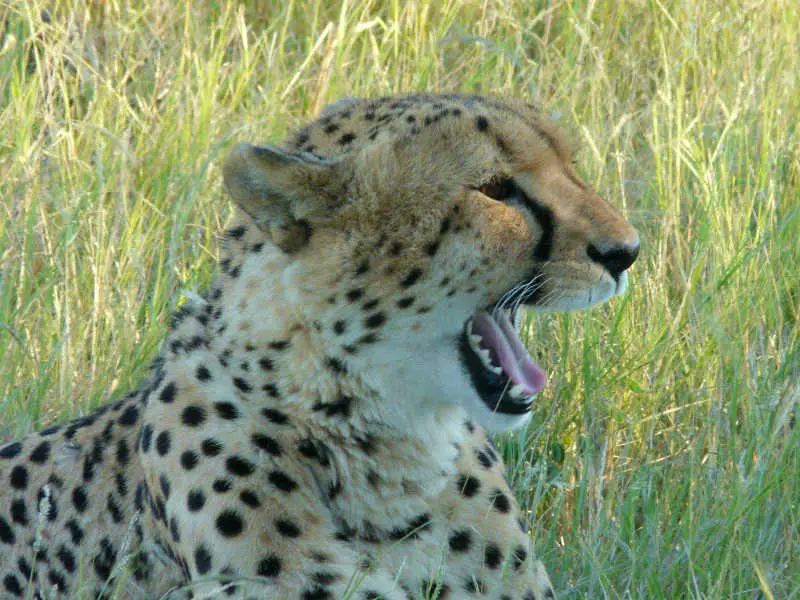 ZA_0904_070_2011-08-11.jpg