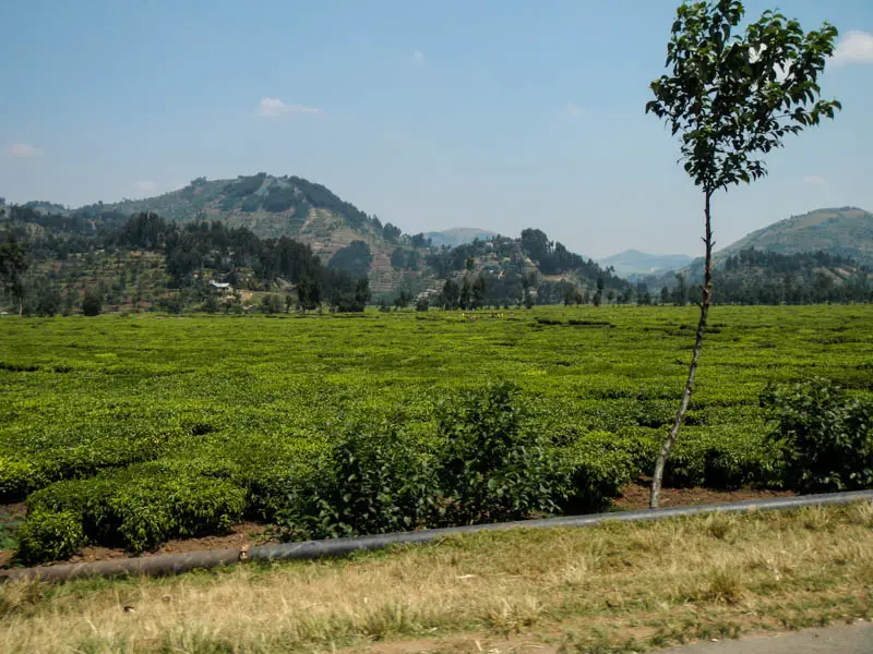 DSCN4559.jpg