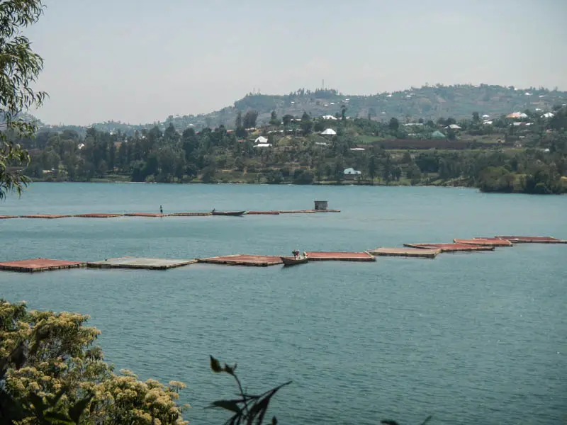 DSCN4605.jpg