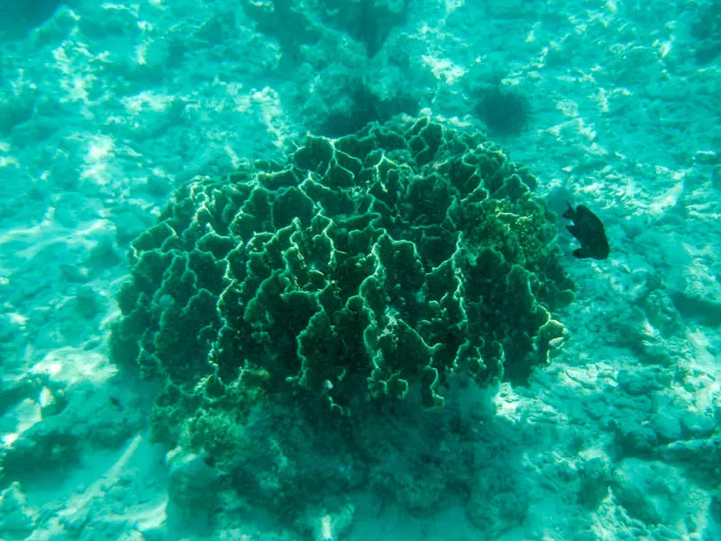 DSCN4810.jpg