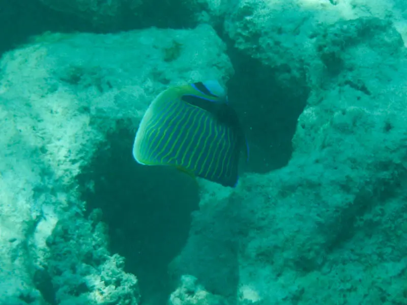 DSCN4854.jpg