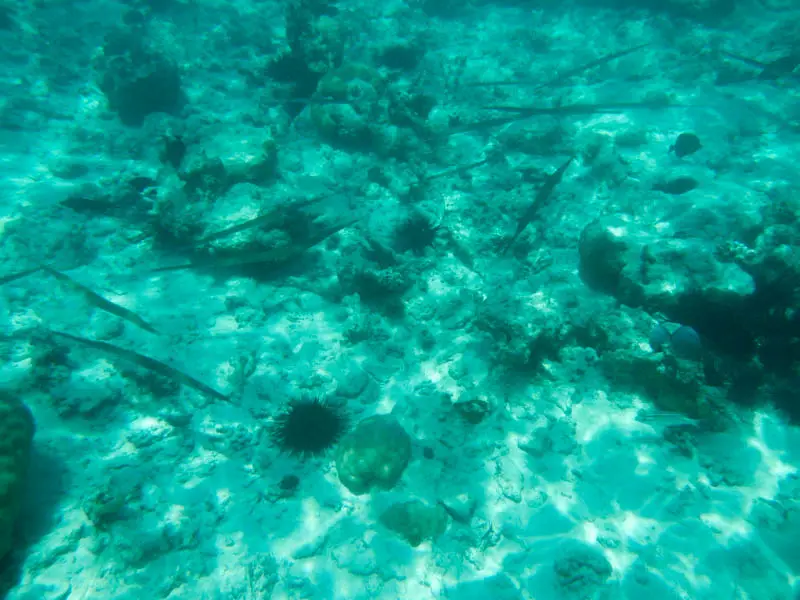 DSCN4862.jpg