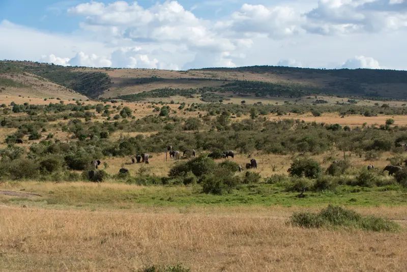 MasaiMara_Landschaft1.jpg