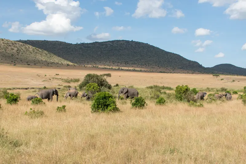 MasaiMara_Landschaft5.jpg