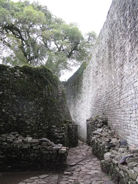 IMG_1300.png