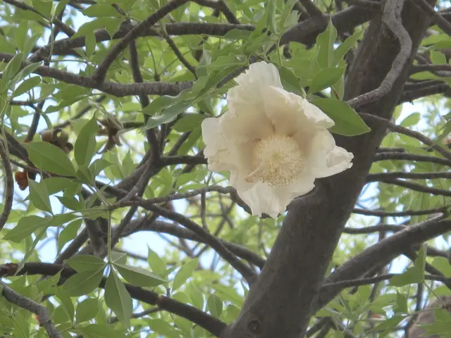 IMG_3088.png
